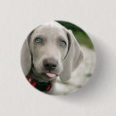 Search for stick badges Dog