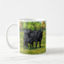 Search for black angus mugs Livestock