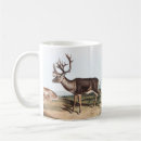 Search for caribe mugs Wildlife