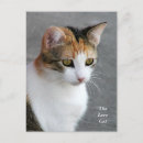Search for calico postcards Pretty