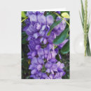 Search for laurel cards Flowers