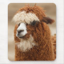 Search for alpacas mousepads Animals
