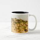 Search for siena mugs Mediaeval