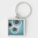 Search for medical office key rings Bacterium