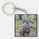 Search for animal rights key rings Wildlife