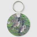 Search for geese key rings Birds