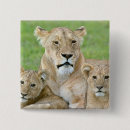 Search for lioness badges Cute
