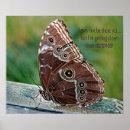 Search for morpho posters Insect