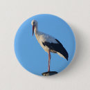Search for stork badges Bird
