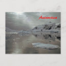 Search for expedition postcards Polar