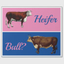 Search for cattle wrapping paper Farming