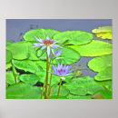 Search for blue lotus posters Photography