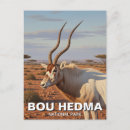 Search for addax Antelope