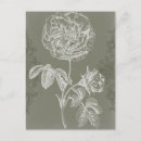 Search for relief postcards Grey