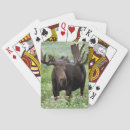 Search for moose playing cards North america