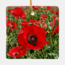 Search for poppy flower christmas tree decorations Nature