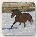 Search for thoroughbred horse coasters Running
