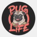 Search for pug life stickers Pets