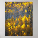 Search for fall colour posters Nature