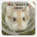 Search for it is what it is stickers Animal