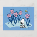 Search for springs postcards Nature