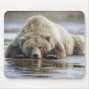 Search for mud mousepads Outdoor