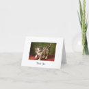 Search for vintage kitten cards Cats