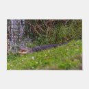 Search for alligator garden decor Reptile