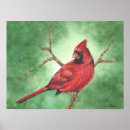 Search for beak art Red