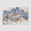 Search for bird tissue paper Blue