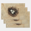 Search for bird nest wrapping paper Decoupage