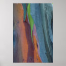 Search for gum tree posters Colourful