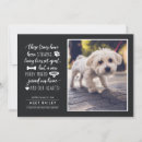 Search for new puppy invitations Cute