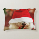 Search for bichon frise dog cushions Animal
