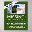 Search for lost posters Missing pet