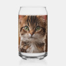 Search for kitten beer glasses Cat