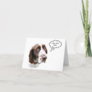 Search for springer spaniel cards White