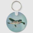 Search for baby turtle key rings Reptile