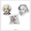 Search for einstein stickers Physics