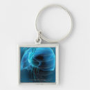 Search for lungs key rings People