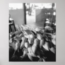 Search for white lotus flower posters Black and white