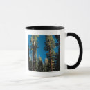 Search for sequoia national forest mugs Tree