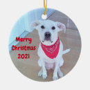 Search for pup christmas tree decorations Red