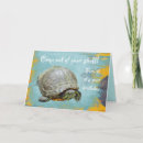 Search for turtle shell cards Wildlife