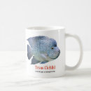 Search for cichlids mugs Fish