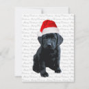Search for black labrador christmas cards Dog lovers
