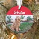 Search for labradoodle christmas tree decorations Pets
