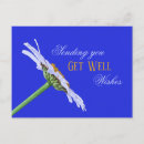 Search for single flower postcards Elegant