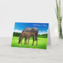 Search for horse friends cards Grazing