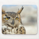 Search for captivating electronics Wildlife